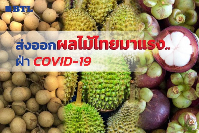ส่งออกผลไม้ไทยมาแรง ... ฝ่า COVID-19