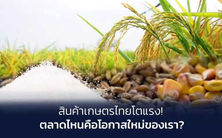 น้ำตาลทราย